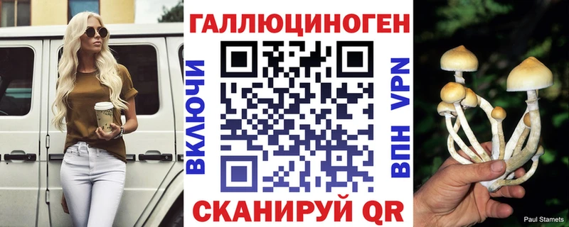 наркотики  Калач  blacksprut как зайти  Галлюциногенные грибы Psilocybine cubensis 